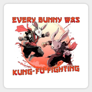 Every bunny was Kungfu fighting Magnet